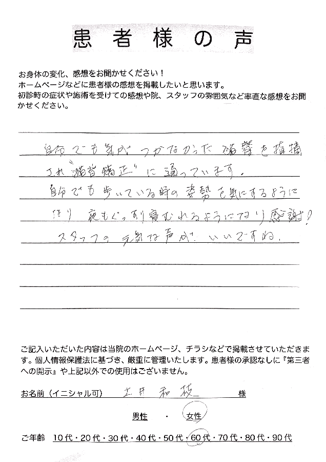 アンケート用紙
